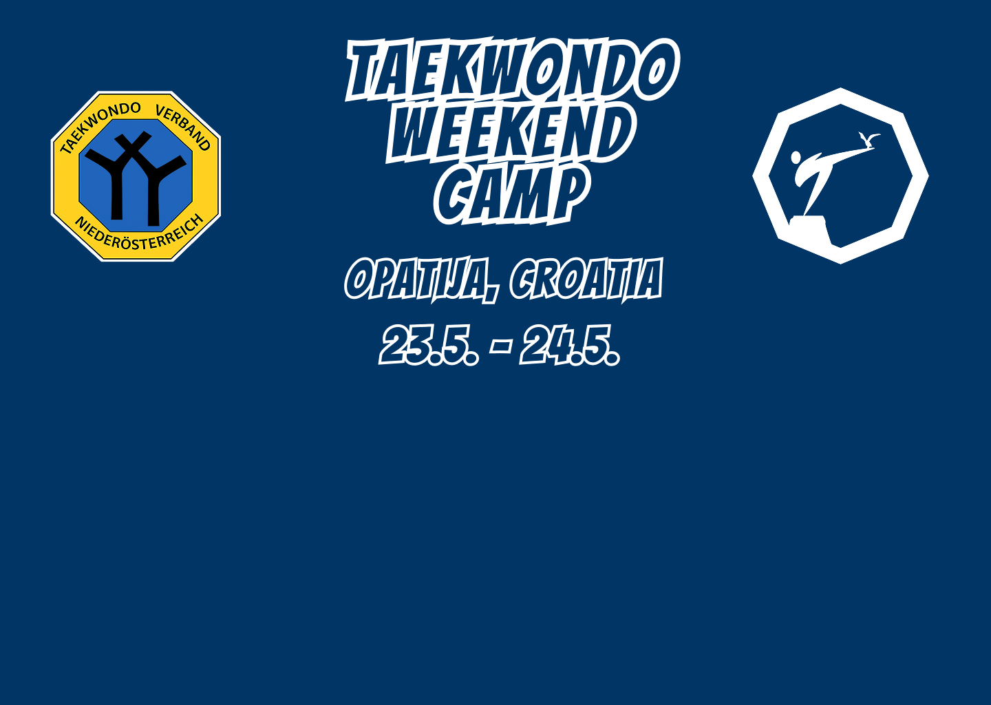 Taekwondo Weekend Camp
